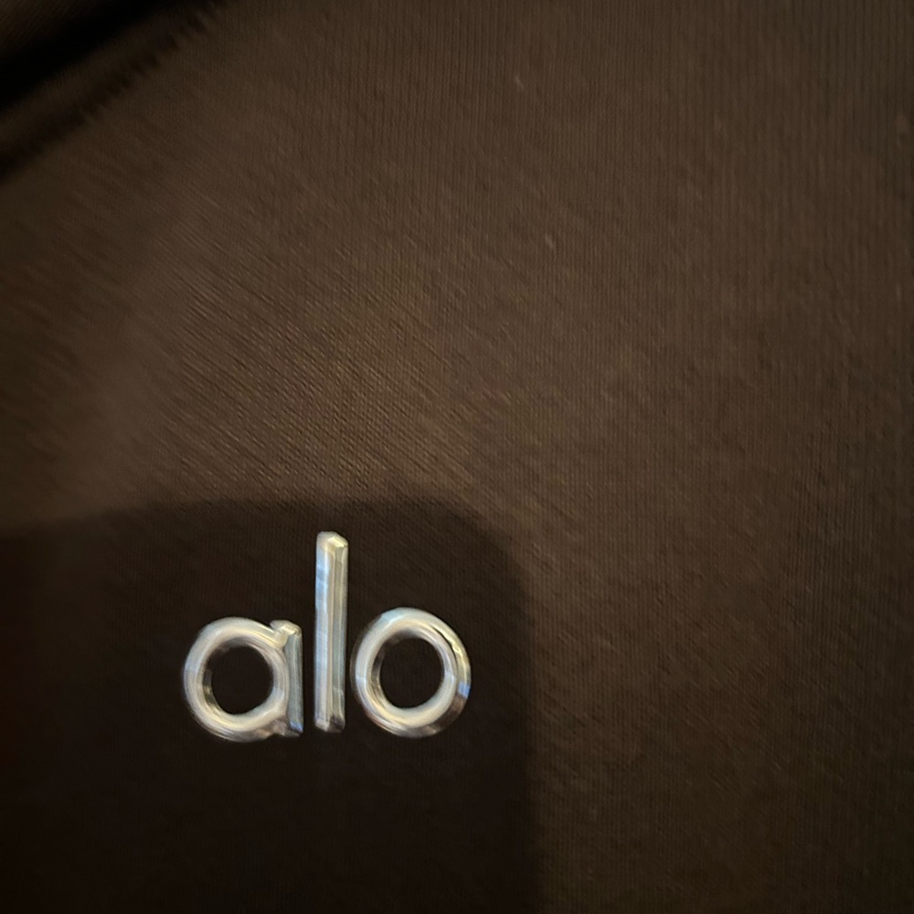 ALO Yoga espresso Hoodie - Picture 3 of 5